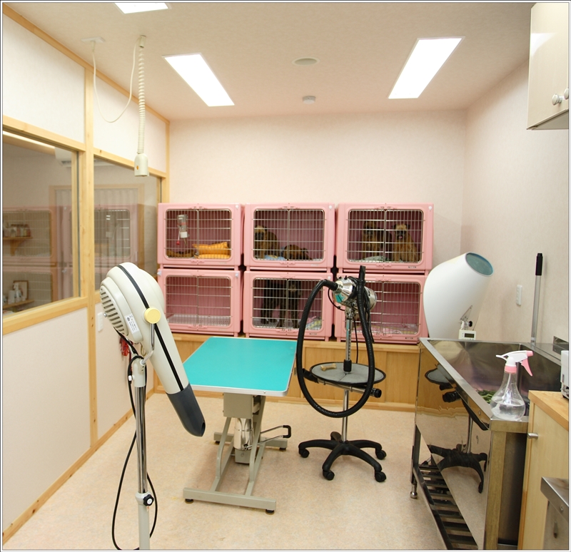 トリミングルーム